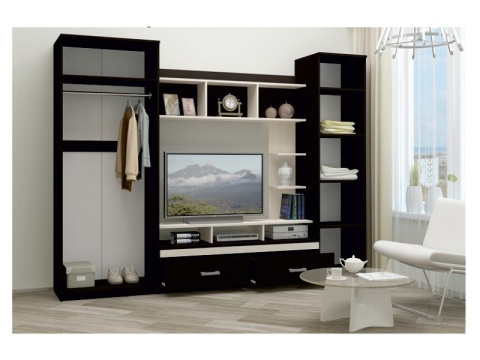 Гостиная Мартин Венге/Дуб Беленый (Ш-3000 x В-2200 x Г-420 мм)